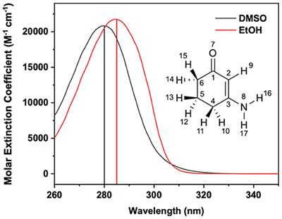 Reinvestigating the Photoprotection Properties of a Mycosporine Amino Acid Motif